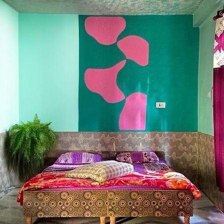 Nucleus Guest House 卡索尔 外观 照片